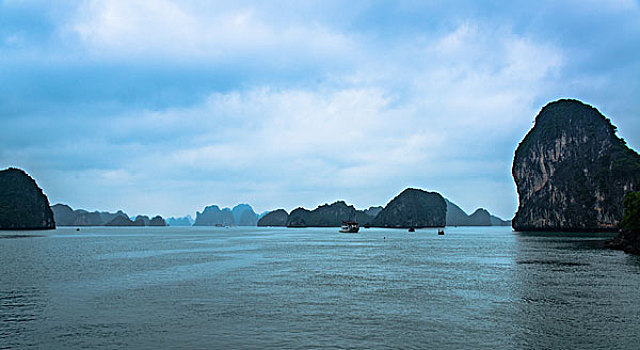 bạch thu lo mb