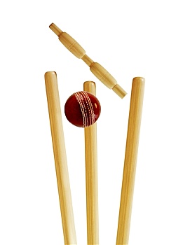 soi cau 555