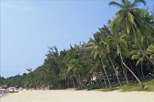 soi cau bach thu 8888