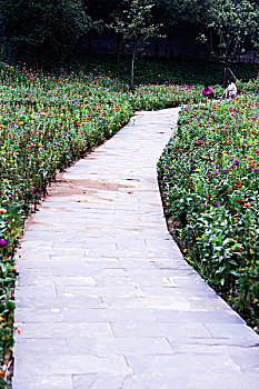 xs quảng nam