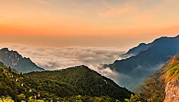 bạch thủ lô đề hôm nay