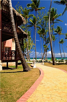 cầu bạch thủ đề