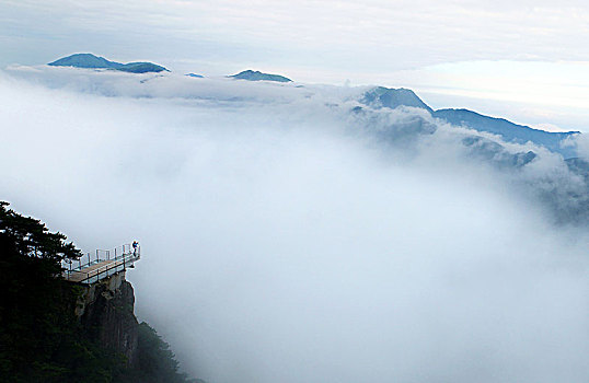 ban tin thi truong ca mau