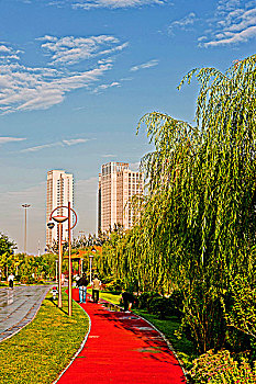 soi bach thu xsmb