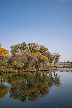 xs hà nội