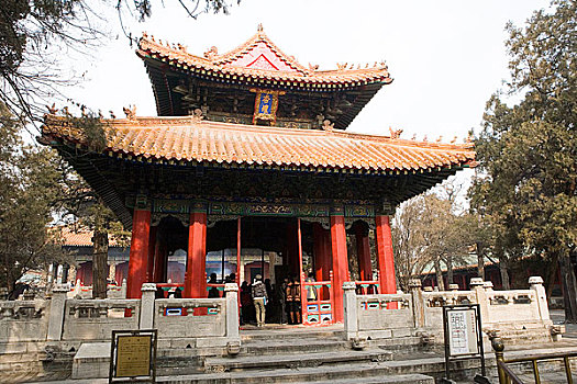 cầu số miền bắc