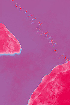 số vũng tàu