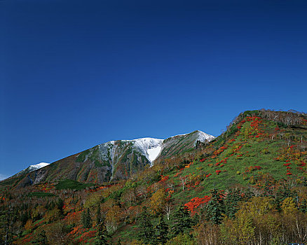 soi lô gan