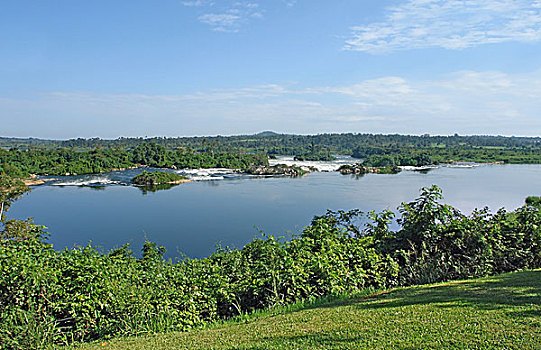 soi cầu rong bach kim