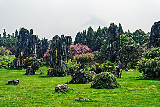 du doan trung thuong mien bac