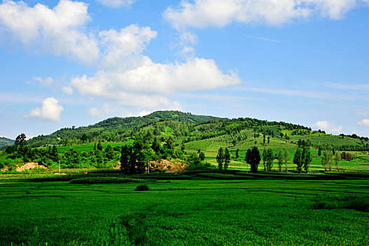 cách tính lô đề chuẩn
