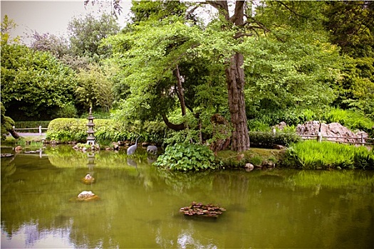 bạch thủ lô đề