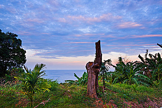 lô đề trực tuyến
