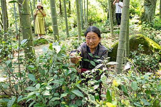 kết quả xổ số ninh thuận