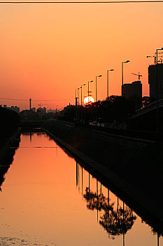 bạch thủ lô ngày mai