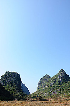 soi bach thu lo hom nay