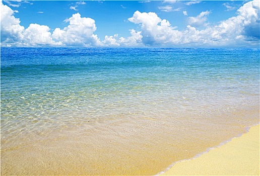 xs hai phong