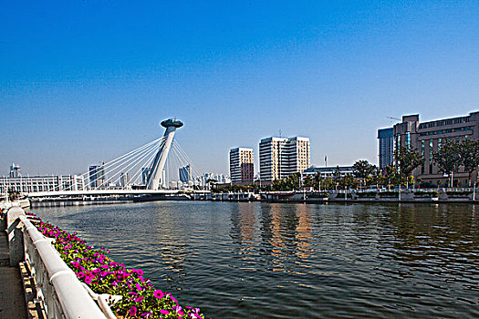 soi cầu miền nam miễn phí