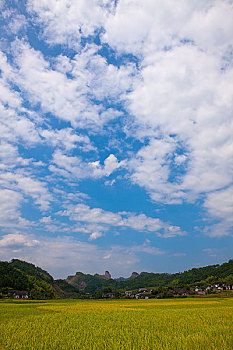 soi cau sieu chuan 888