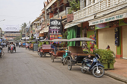 soi cau bach thu mien bac 247