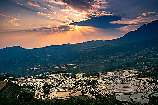 dàn đề miền nam