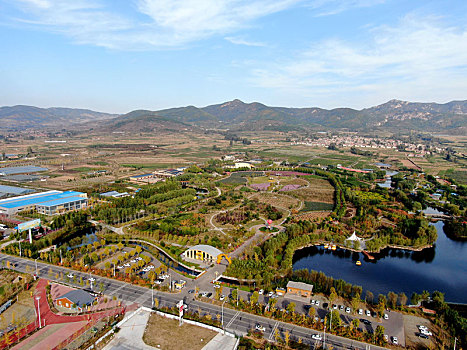 lo đe 88