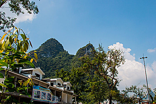 cau soi