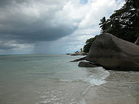soi cau mb rong bach kim