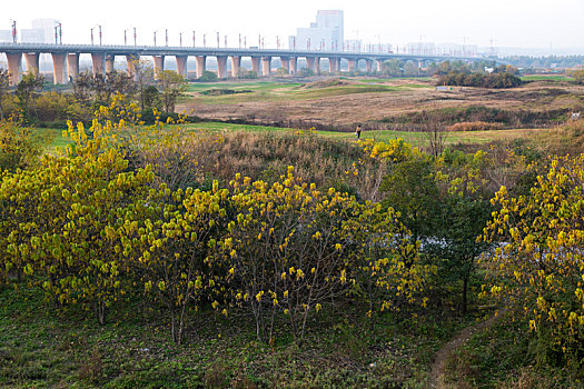 soi cầu chuẩn misa