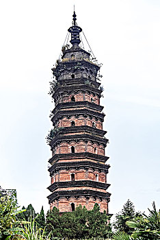 soi cau bach thu sieu chuan