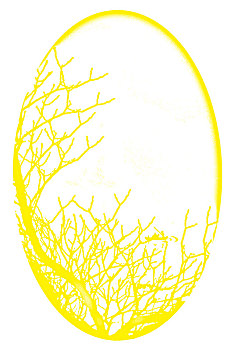 3 càng lô