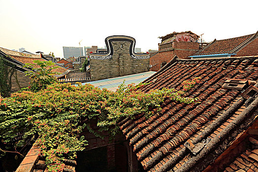 soi cau binh dinh wap