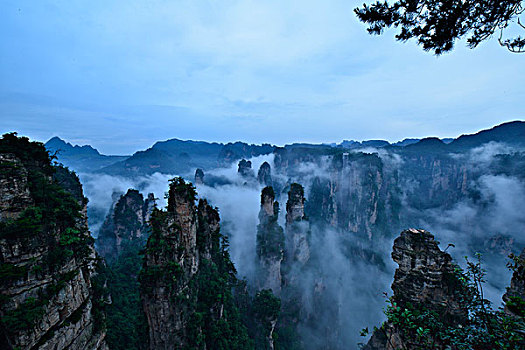 soi cầu mo bi